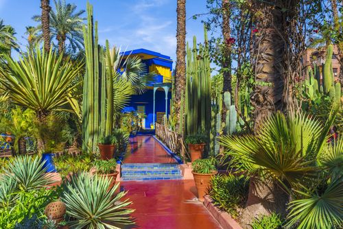 Jardin Majorelle Marrakech Maroc