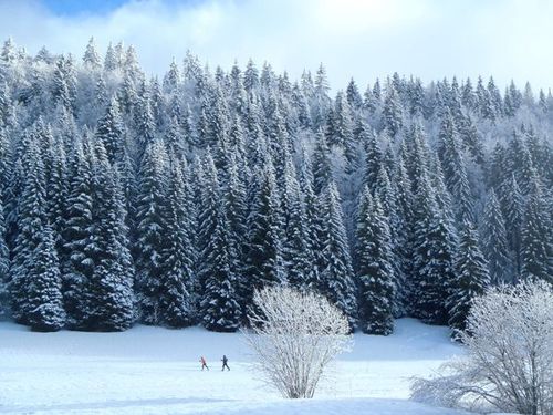 Ski aux Rousses Jura