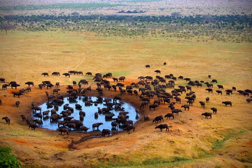 Parcs et réserves du Kenya