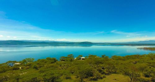 Kenya Lac Nakuru