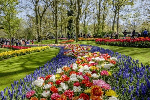 Parc du Keukenhof