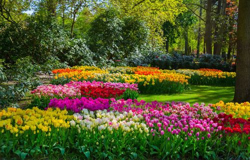 Keukenhof park