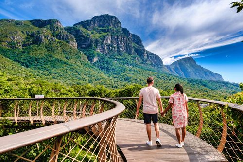 Passerelle Boomslang dans le jardin botanique de Kirstenbosch au Cap - Afrique du Sud