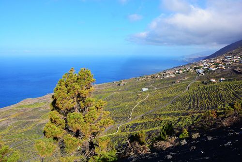 La Palma