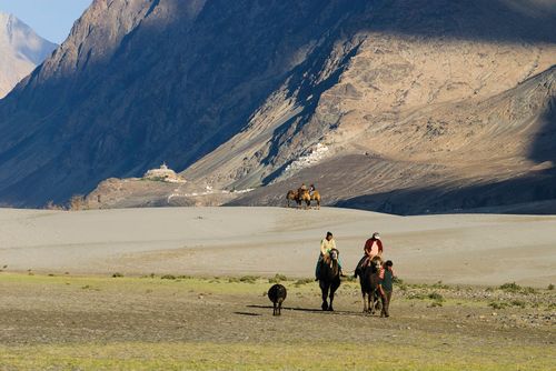Inde Ladakh Vallée de la Nubra
