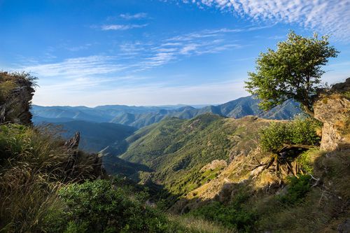 Cévennes Cévennes