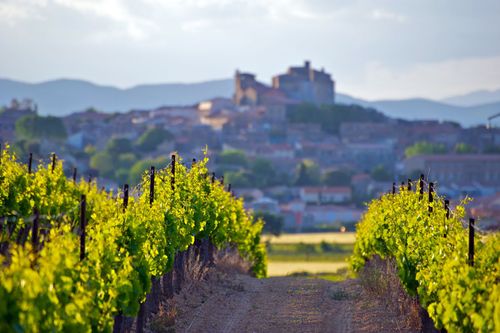 Langedoc Puissalicon Vignes