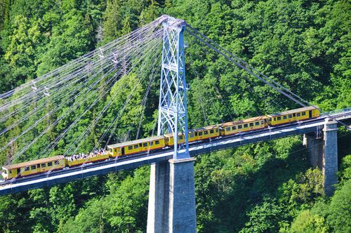 Languedoc Train jaune