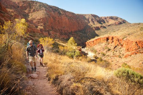 Randonnée sur le sentier de Larapinta, West McDonnell Ranges, Territoire du Nord
