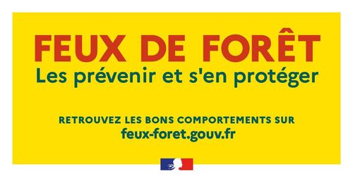 Feux de forêt : les bons gestes de prévention et de protection pour cet été