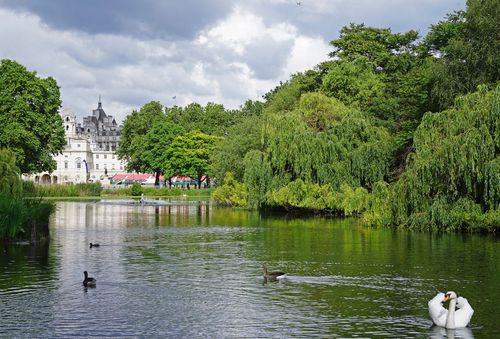 Londres Saint Jame's Park