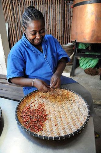 Madagascar Nosy Be Distillerie Lemuria Land