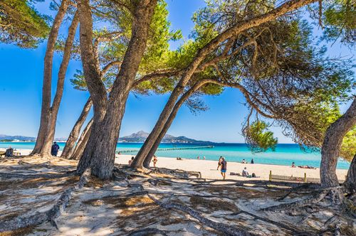 Alcúdia Alcúdia