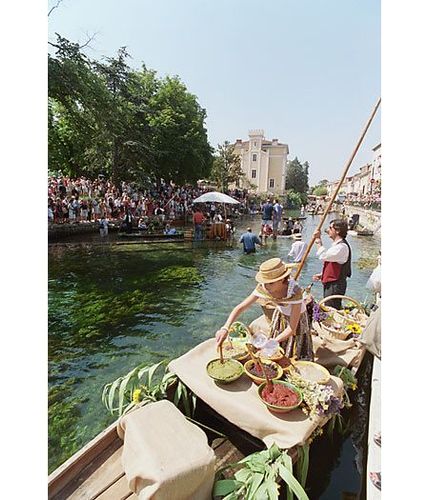 Marché Isle sur la Sorgue