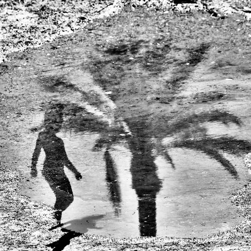 Israel Ein Gedi