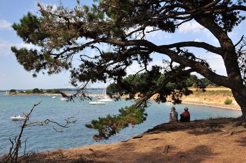 Bretagne Golfe du Morbihan Arz