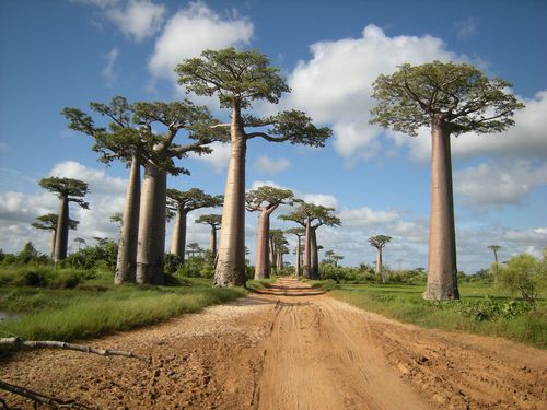 Morondava Morondava