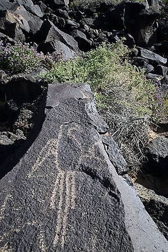 USA Nouveau Mexique Albuquerque Petroglyph National Monument