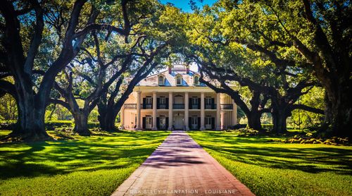 Louisane Oak Alley plantation