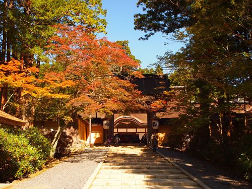 Miwa Shrine