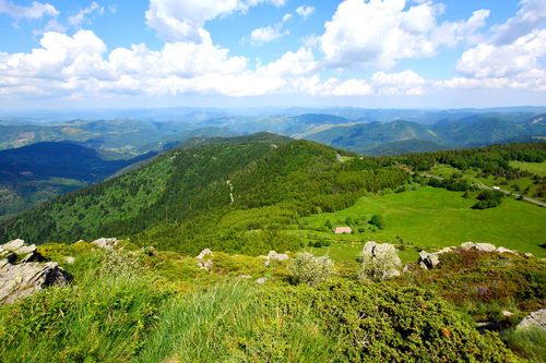 Panorama depuis le mont Gerbier-de-Jonc