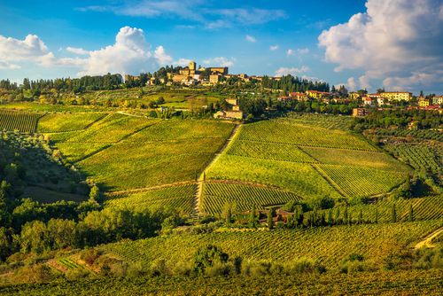 Panzano in Chianti vineyard and panorama at sunset. Tuscany, Italy