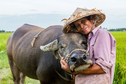 Instants de sérénité au Vietnam