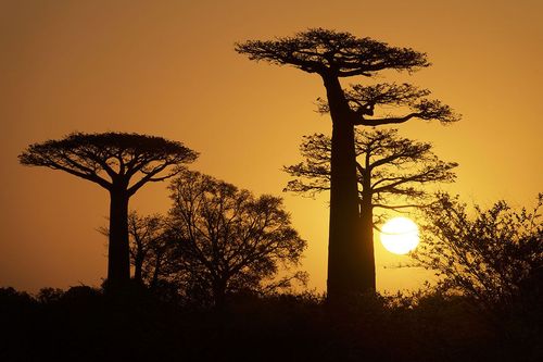 Madagascar, l’île-continent