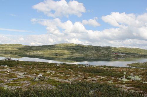Parc national de Hardangervidda