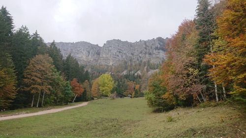 Jougne