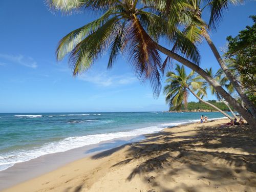 Anse l'Étang