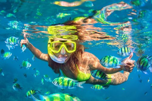 Plongee Poissons Snorkelling