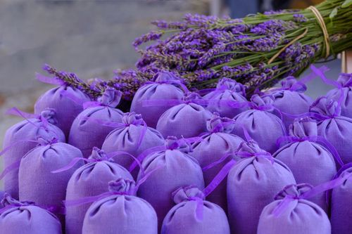 Provence Lavande