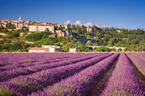 Provence Sault