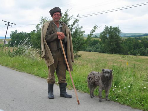 Șoarș Șoarș