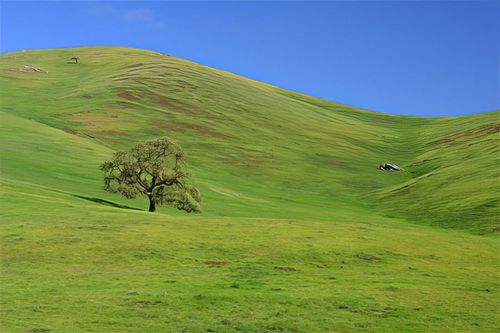 Gilroy