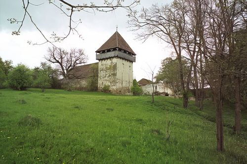 Citadelle saxonne de Ticusul Vechi Citadelle saxonne de Ticusul Vechi