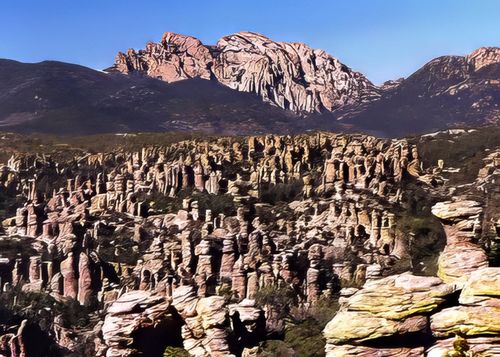 Chiricahua Chiricahua