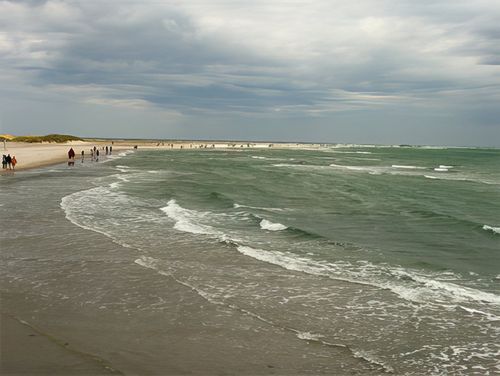Grenen