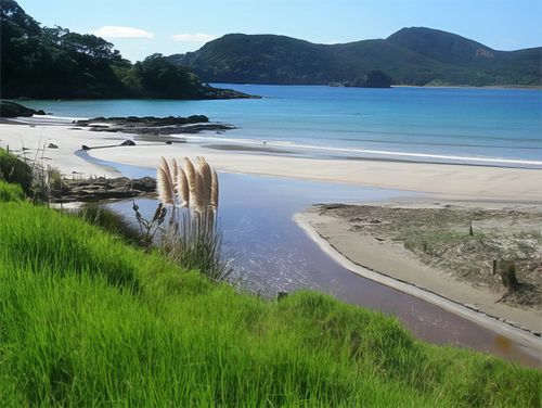 Kaitaia Kaitaia