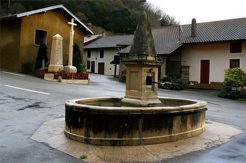 Coisia