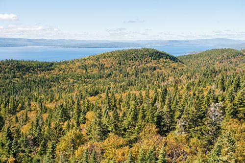 Québec Parc Forillon Vue depuis le Mont-Saint-Alban