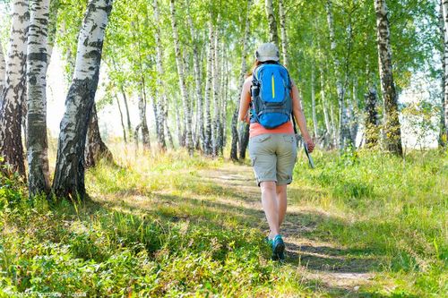 France randonnée forêt