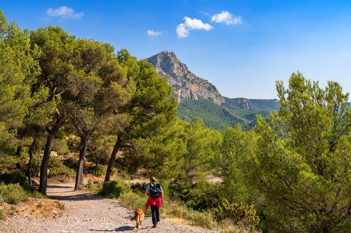 Randonnée montagne Sainte-Victoire 
