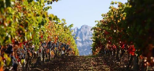 Pays Basque Rioja Alavesa