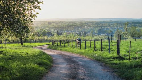 Route chalots