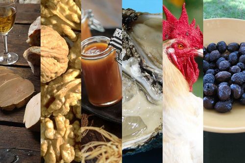 Routes Gastro Accueil Specialites