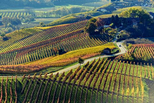 Routes Vins Monde