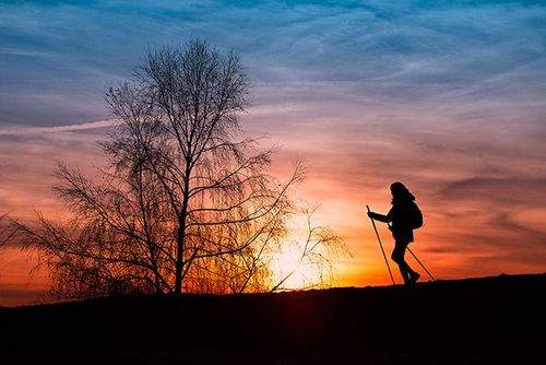 © Shutterstock