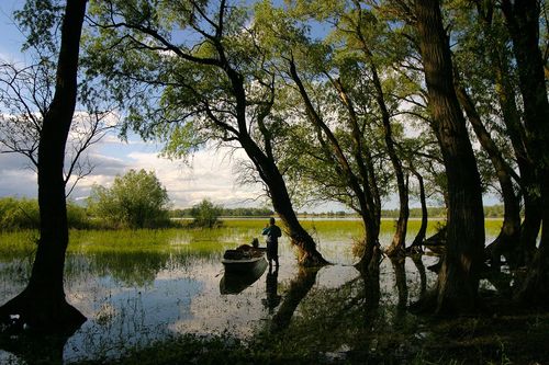 Croatie Slavonie
